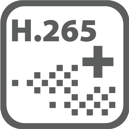H.265+.png
